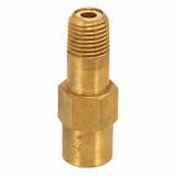 Control Devices Check Valve,1/4" FPT Inlet,Brass,SS P25M25-0AA