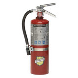 Buckeye Fire Extinguisher,Steel,Red,ABC  25614