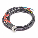 Fireye Quick Connect Cable,10 ft. 59-598-3