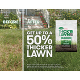 Turf Builder 40# Tb Tf Thk R Lwn Seed 30075B 705600