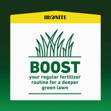 Ironite 15 Lb. 5000 Sq. Ft. Coverage Soluble Iron 100544883 713026