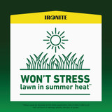 Ironite 15 Lb. 5000 Sq. Ft. Coverage Soluble Iron 100544883 713026