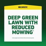 Ironite 15 Lb. 5000 Sq. Ft. Coverage Soluble Iron 100544883 713026