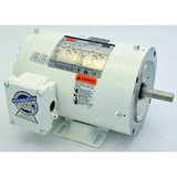 Dayton Washdown Motor,3/4 HP,1745,56C,230/460V 1TRZ4