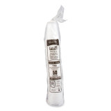 Dart® CUP,PLAS,SQT,16-18OZ,TR Y16S USS-DCCY16S