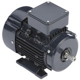 Marathon Motors GP Motor,1/2 HP,1,695 RPM,230/460V AC,71 071T17FH5327