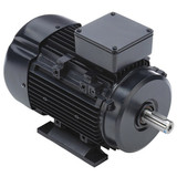 Marathon Motors GP Motor,2 HP,1,745 RPM,230/460V AC,90L 090LT17FH6326