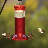 Classic Birds More Birds Bird Health+ 64 Oz. Liquid RTU Red Hummingbird Nectar