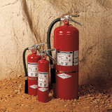 Amerex Fire Extinguisher,Steel,Red,BC  B410T