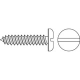 Sim Supply Scrw Sz #6,Zinc,1/4"L,PK100  SMSPI0-600250-100P