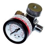 Air Regulator w/ Gauge 882