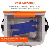 Ergodyne Evaporative Cooling Bandana,Blue 6700