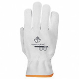 Endura Gloves,White,L Glove Size,PK12 378SBL