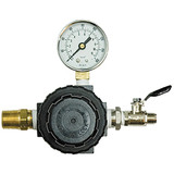 Regulator Assembly 130516