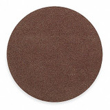 Arc Abrasives PSA Sanding Disc,10 in Dia,50 G 30500