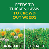 Scotts Turf Builder Weed & Feed 35.7 Lb. 12,000 Sq. Ft. Weed Killer Plus Lawn Fertilizer