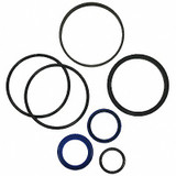 Maxim Seal Kit,For 3.5 In Bore Cylinder 204506