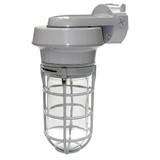 Lumapro Vapor Tight Fixture,100W 21R880