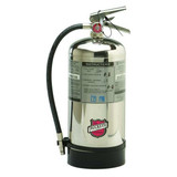 Buckeye Fire Extinguisher,SS,Silver,K  50006