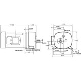 Dayton DC Gearmotor,20 rpm,90V,TEFC 6Z413