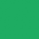 Rust-Oleum Spray Paint,OSHA Safety Green,12 oz. 1633830