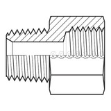 Adaptall Hose Adapter,1/8",NPT,1/8",BSPP 9037-0202