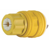 Leviton Watertight Locking Plug 26W74