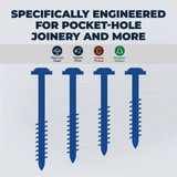 Kreg 2" Blue Ph Wd Screw SML-C2B-50 376137