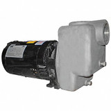 Dayton Self Priming Pump,2 HP,316 SS 5GUP4