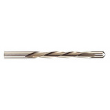 Rotozip Drywall Bit,1/8 in Dia,2 7/16 in L,PK50 GP50