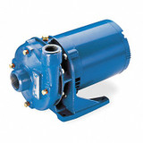 Goulds Water Technology Pump,1-1/2 HP,1 Ph,120/240VAC  2BF21512