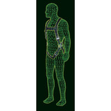 Honeywell Miller Full Body Harness,Revolution,L-XL RDT-QC-B-UBK