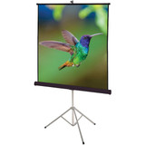Quartet Portable Projection Screen,70" W,70" H 570S