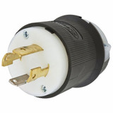 Hubbell Locking Plug HBL2711ST