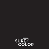 Rust-Oleum Sure Color Flat Black Interior Wall Paint and Primer, Gallon 380216 773306