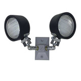 Big Beam Remote Head,LED,6V,5W,9" H,13" W,2 Lamps  LS36WPDH6