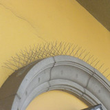 Bird Barrier Bird Repellent Spikes,100 ft L,8 in W BP-F3100