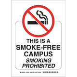 Brady No Smoking Sign,10 x 7In,Red/White 123933