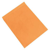 Partners Brand Jumbo Envelopes,22x27",PK100 EN1086