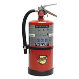 Buckeye Fire Extinguisher,Steel,Red,ABC  11351