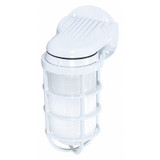 Nuvo Outdoor Wall Fixture,1L,10",White SF76-615