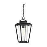 Nuvo Fixture,Outdoor,Hanging,1L,60W,120V,T9,M 60/6514