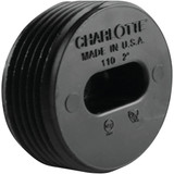 Charlotte Pipe 2 In. MIP Countersunk ABS Plug ABS 00110  0600HA