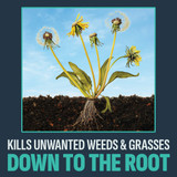 Lilly Miller Image 10 Lb. Granular Noxall Vegetation Killer 100551473 767940