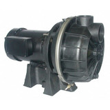 Dayton Pump,1/2 HP,3Ph,208 to 240/480VAC 5UPW4