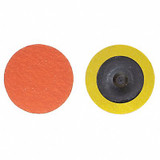 Norton Abrasives Quick-Change Disc,1 1/2 in Dia,TR,PK100  66261162314