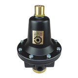 Coilhose Pneumatics Regulator Tamperproof,1/4"  CO 8802K