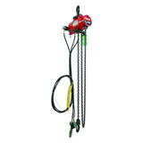 Dayton Air Chain Hoist,500 lb.Cap.,10 ft. Lift 29XL85