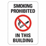 Lyle No Smoking Sign,7 inx10 in,Plastic LCU1-0043-NP_10x7