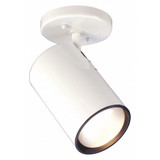 Nuvo Flush Fixture,1L,R30,Str Cylinder,White SF76-418